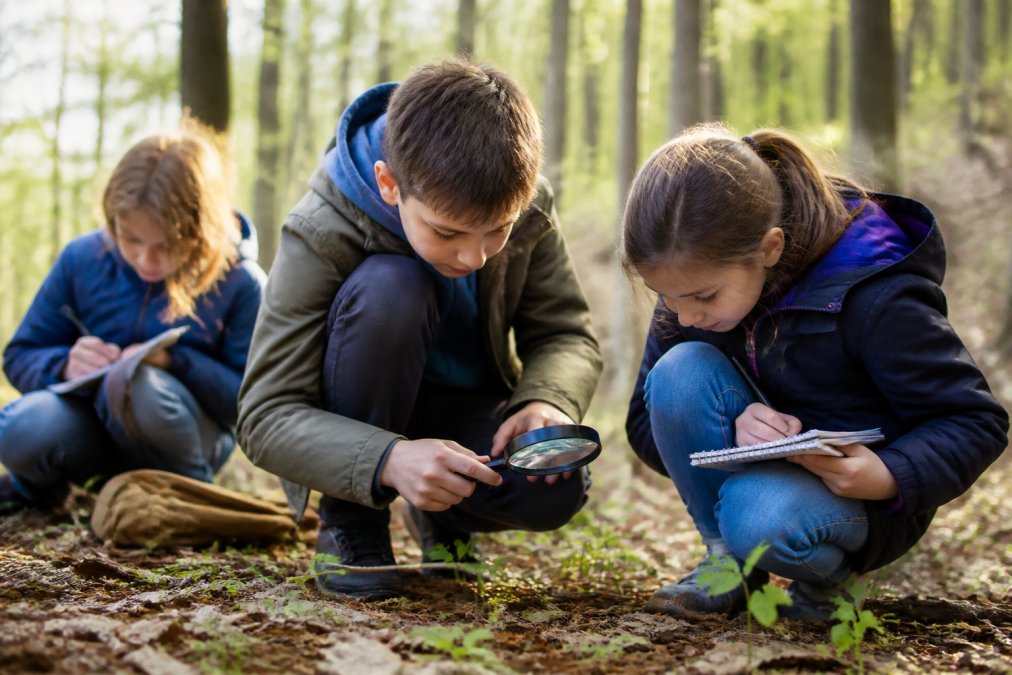 Educational Adventures for Homeschooling Curriculum
